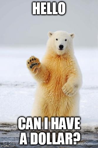 hello polar bear | HELLO; CAN I HAVE A DOLLAR? | image tagged in hello polar bear | made w/ Imgflip meme maker
