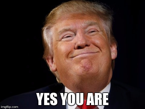 Smug Trump | YES YOU ARE | image tagged in smug trump | made w/ Imgflip meme maker
