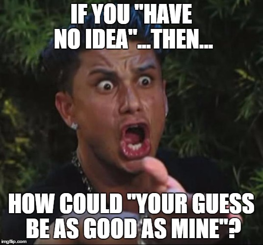 DJ Pauly D Meme | IF YOU "HAVE NO IDEA"...THEN... HOW COULD "YOUR GUESS BE AS GOOD AS MINE"? | image tagged in memes,dj pauly d | made w/ Imgflip meme maker