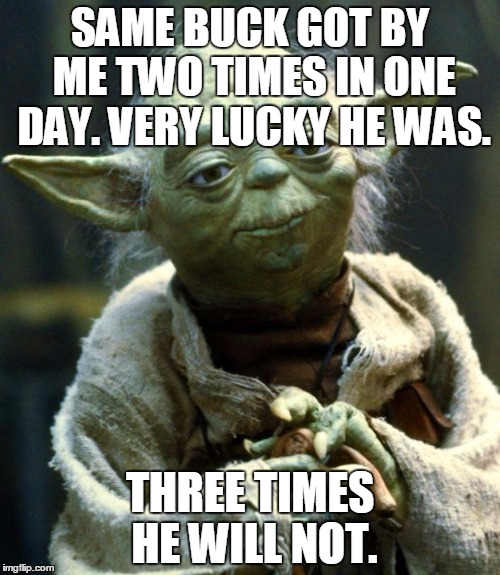Star Wars Yoda Meme | SAME BUCK GOT BY ME TWO TIMES IN ONE DAY. VERY LUCKY HE WAS. THREE TIMES HE WILL NOT. | image tagged in memes,star wars yoda | made w/ Imgflip meme maker