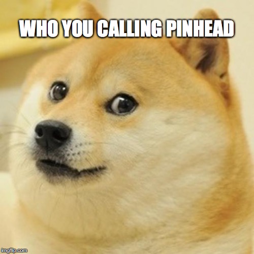 Doge | WHO YOU CALLING PINHEAD | image tagged in memes,doge | made w/ Imgflip meme maker
