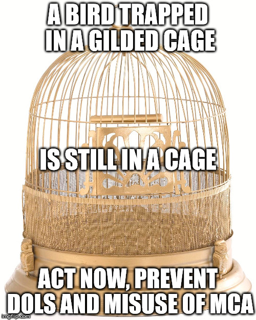 A BIRD TRAPPED IN A GILDED CAGE; IS STILL IN A CAGE; ACT NOW, PREVENT DOLS AND MISUSE OF MCA | made w/ Imgflip meme maker