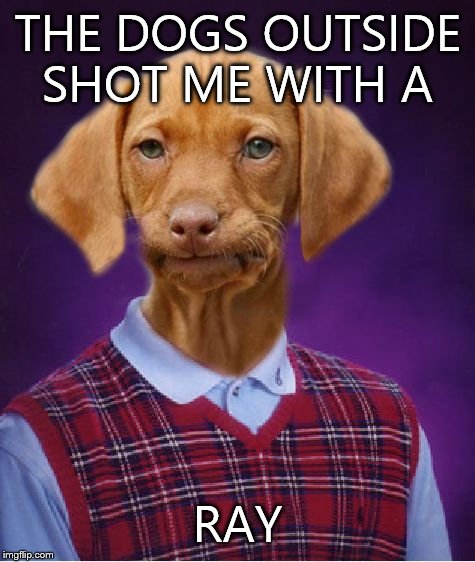 Bad Luck Raydog | THE DOGS OUTSIDE SHOT ME WITH A; RAY | image tagged in bad luck raydog | made w/ Imgflip meme maker