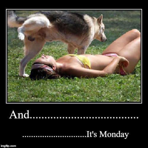 Monday | image tagged in funny,demotivationals,monday,monday mornings,mondays | made w/ Imgflip demotivational maker