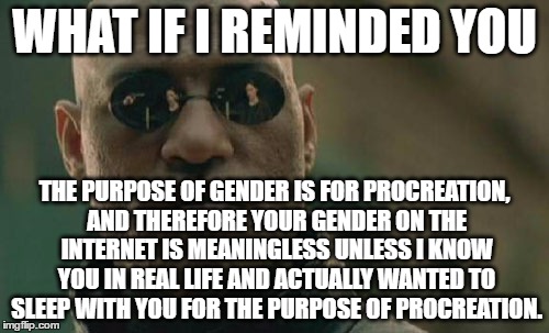 Morpheus Droppin' Logic Bombs | WHAT IF I REMINDED YOU; THE PURPOSE OF GENDER IS FOR PROCREATION, AND THEREFORE YOUR GENDER ON THE INTERNET IS MEANINGLESS UNLESS I KNOW YOU IN REAL LIFE AND ACTUALLY WANTED TO SLEEP WITH YOU FOR THE PURPOSE OF PROCREATION. | image tagged in memes,matrix morpheus,gender | made w/ Imgflip meme maker