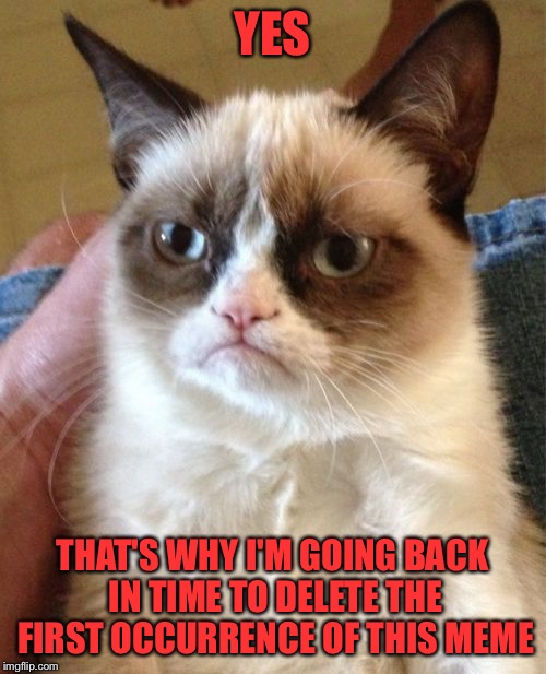 Grumpy Cat Meme | YES THAT'S WHY I'M GOING BACK IN TIME TO DELETE THE FIRST OCCURRENCE OF THIS MEME | image tagged in memes,grumpy cat | made w/ Imgflip meme maker