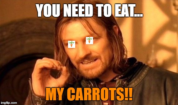 One Does Not Simply | YOU NEED TO EAT... MY CARROTS!! | image tagged in memes,one does not simply | made w/ Imgflip meme maker