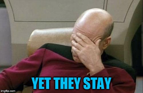 Captain Picard Facepalm Meme | YET THEY STAY | image tagged in memes,captain picard facepalm | made w/ Imgflip meme maker
