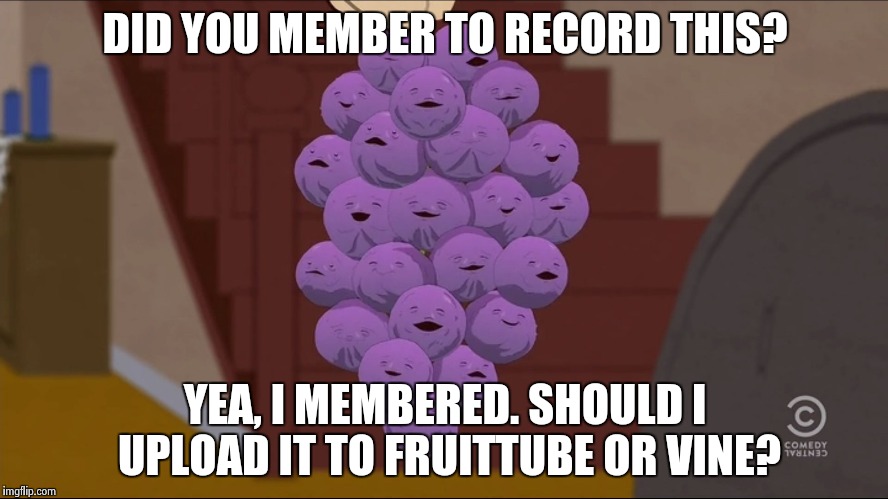 Member Berries | DID YOU MEMBER TO RECORD THIS? YEA, I MEMBERED. SHOULD I UPLOAD IT TO FRUITTUBE OR VINE? | image tagged in memes,member berries | made w/ Imgflip meme maker