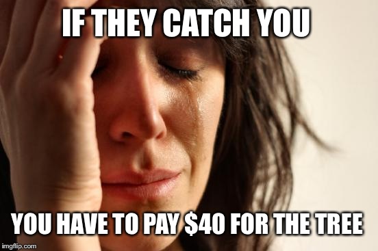 First World Problems Meme | IF THEY CATCH YOU YOU HAVE TO PAY $40 FOR THE TREE | image tagged in memes,first world problems | made w/ Imgflip meme maker