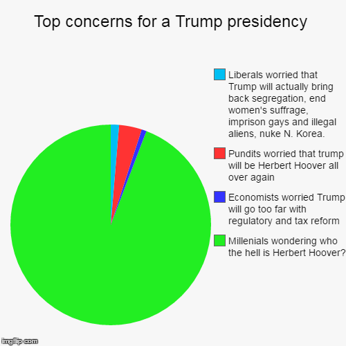 Trump concerns | image tagged in funny,pie charts,president trump policies,gay rights | made w/ Imgflip chart maker