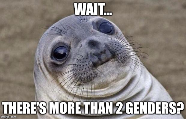 Awkward Moment Sealion Meme | WAIT... THERE'S MORE THAN 2 GENDERS? | image tagged in memes,awkward moment sealion | made w/ Imgflip meme maker
