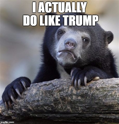 Confession Bear Meme | I ACTUALLY DO LIKE TRUMP | image tagged in memes,confession bear | made w/ Imgflip meme maker
