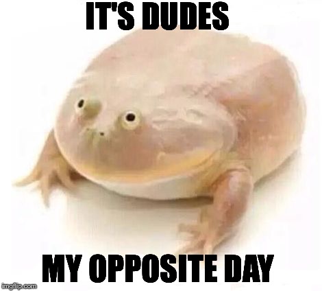 My Dudes | IT'S DUDES; MY OPPOSITE DAY | image tagged in my dudes | made w/ Imgflip meme maker