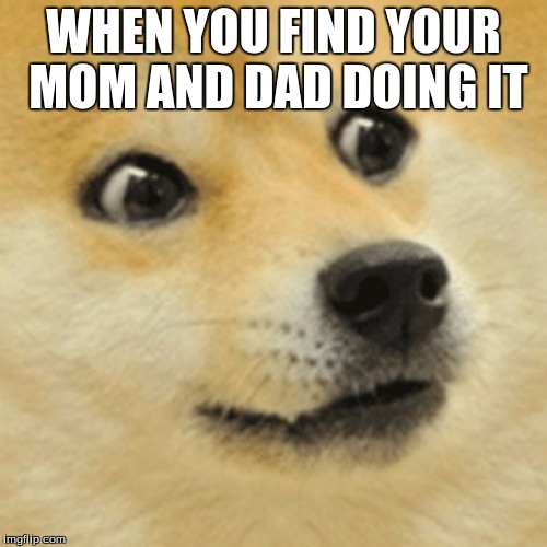 Doge meam | WHEN YOU FIND YOUR MOM AND DAD DOING IT | image tagged in funny memes | made w/ Imgflip meme maker