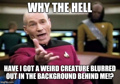Picard Wtf | WHY THE HELL; HAVE I GOT A WEIRD CREATURE BLURRED OUT IN THE BACKGROUND BEHIND ME!? | image tagged in memes,picard wtf | made w/ Imgflip meme maker