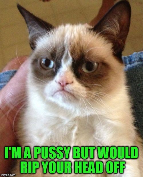 Grumpy Cat Meme | I'M A PUSSY BUT WOULD RIP YOUR HEAD OFF | image tagged in memes,grumpy cat | made w/ Imgflip meme maker