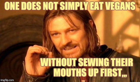 One Does Not Simply Meme | ONE DOES NOT SIMPLY EAT VEGANS; WITHOUT SEWING THEIR    MOUTHS UP FIRST,,, | image tagged in memes,one does not simply | made w/ Imgflip meme maker