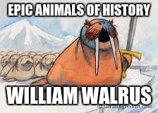 EPIC ANIMALS OF HISTORY; WILLIAM WALRUS | image tagged in walrus | made w/ Imgflip meme maker