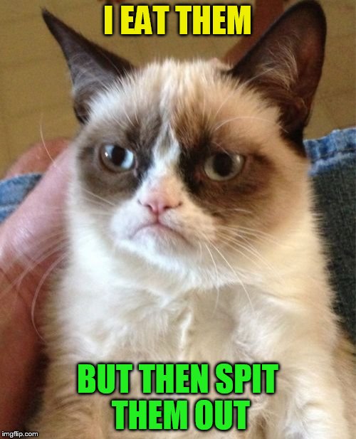 Grumpy Cat Meme | I EAT THEM BUT THEN SPIT THEM OUT | image tagged in memes,grumpy cat | made w/ Imgflip meme maker