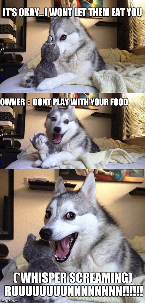 Bad Pun Dog | IT'S OKAY...I WONT LET THEM EAT YOU; OWNER

:

DONT PLAY WITH YOUR FOOD; (*WHISPER SCREAMING) RUUUUUUUUNNNNNNNN!!!!!! | image tagged in memes,bad pun dog | made w/ Imgflip meme maker