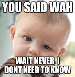 Skeptical Baby Meme | YOU SAID WAH; WAIT NEVER  I DONT NEED TO KNOW | image tagged in memes,skeptical baby | made w/ Imgflip meme maker