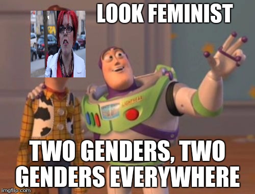 X, X Everywhere | LOOK FEMINIST; TWO GENDERS, TWO GENDERS EVERYWHERE | image tagged in memes,x x everywhere | made w/ Imgflip meme maker