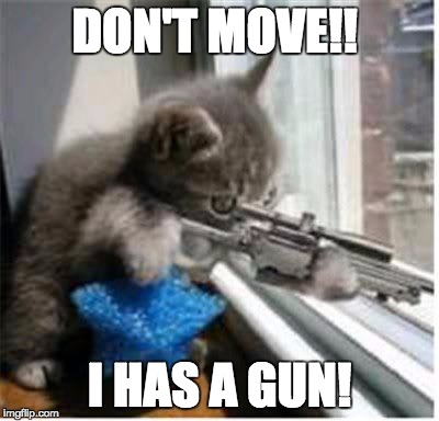 cats with guns | DON'T MOVE!! I HAS A GUN! | image tagged in cats with guns | made w/ Imgflip meme maker
