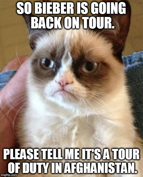 Grumpy Cat Meme | SO BIEBER IS GOING BACK ON TOUR. PLEASE TELL ME IT'S A TOUR OF DUTY IN AFGHANISTAN. | image tagged in memes,grumpy cat | made w/ Imgflip meme maker