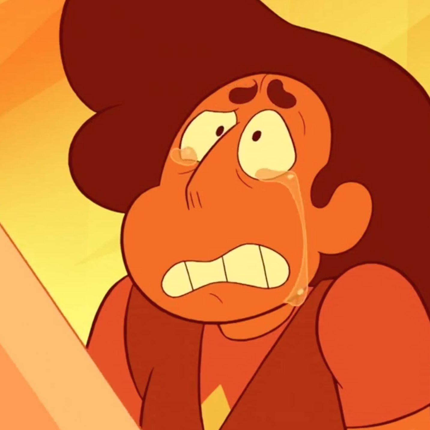 High Quality Crying Stevani Blank Meme Template