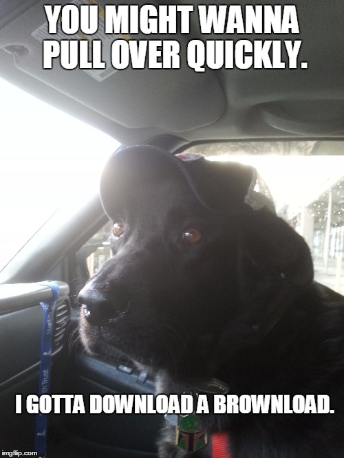 That's right. | YOU MIGHT WANNA PULL OVER QUICKLY. I GOTTA DOWNLOAD A BROWNLOAD. | image tagged in dog,funny dog memes | made w/ Imgflip meme maker