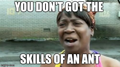 Ain't Nobody Got Time For That Meme | YOU DON'T GOT THE; SKILLS OF AN ANT | image tagged in memes,aint nobody got time for that | made w/ Imgflip meme maker