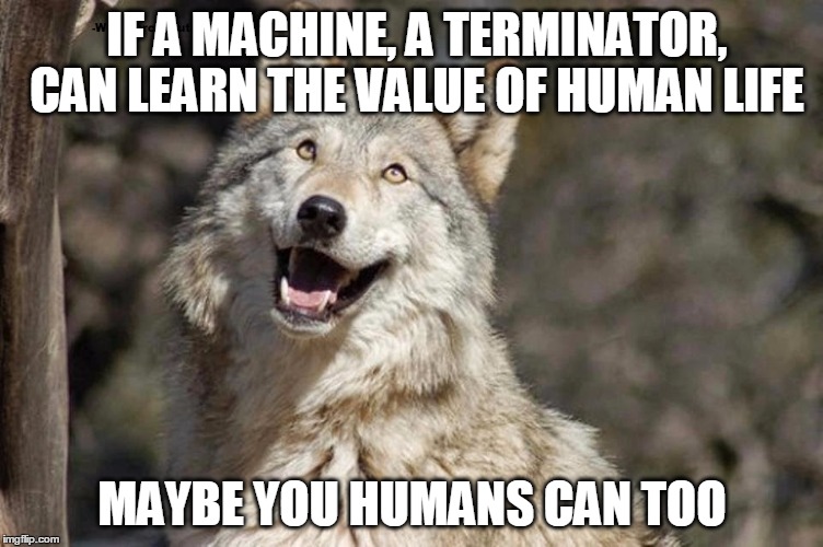 Optimistic Moon Moon Wolf Vanadium Wolf | IF A MACHINE, A TERMINATOR, CAN LEARN THE VALUE OF HUMAN LIFE; MAYBE YOU HUMANS CAN TOO | image tagged in optimistic moon moon wolf vanadium wolf | made w/ Imgflip meme maker