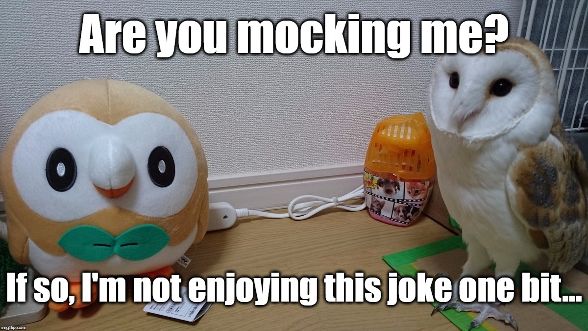 One Of These Things Is Not Like The Other | Are you mocking me? If so, I'm not enjoying this joke one bit... | image tagged in memes,rowlet,nintendo,animals,pokemon,funny | made w/ Imgflip meme maker