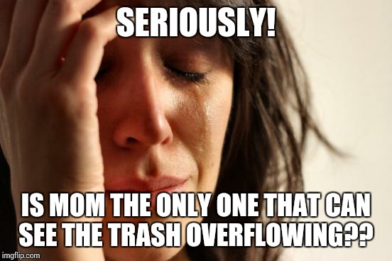 First World Problems Meme | SERIOUSLY! IS MOM THE ONLY ONE THAT CAN SEE THE TRASH OVERFLOWING?? | image tagged in memes,first world problems | made w/ Imgflip meme maker