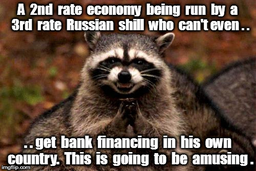 Evil Plotting Raccoon Meme | A  2nd  rate  economy  being  run  by  a  3rd  rate  Russian  shill  who  can't even . . . . get  bank  financing  in  his  own  country.  This  is  going  to  be  amusing . | image tagged in memes,evil plotting raccoon | made w/ Imgflip meme maker