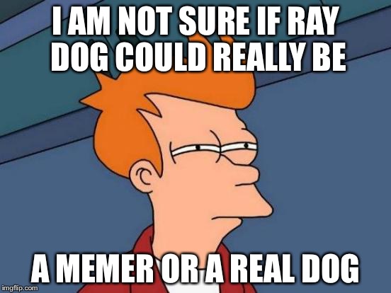 Ever since raydog been posting so many dog memes | I AM NOT SURE IF RAY DOG COULD REALLY BE; A MEMER OR A REAL DOG | image tagged in memes,futurama fry | made w/ Imgflip meme maker