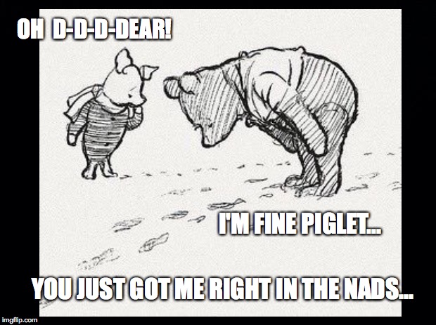 Piglet and Pooh | OH  D-D-D-DEAR! I'M FINE PIGLET... YOU JUST GOT ME RIGHT IN THE NADS... | image tagged in pooh,piglet,nads | made w/ Imgflip meme maker