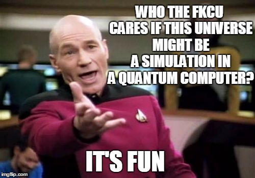 Picard Wtf Meme | WHO THE FKCU CARES IF THIS UNIVERSE MIGHT BE A SIMULATION IN A QUANTUM COMPUTER? IT'S FUN | image tagged in memes,picard wtf | made w/ Imgflip meme maker