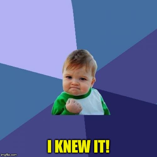 Success Kid Meme | I KNEW IT! | image tagged in memes,success kid | made w/ Imgflip meme maker