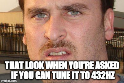 THAT LOOK WHEN YOU’RE ASKED IF YOU CAN TUNE IT TO 432HZ | image tagged in 432hz,handpan | made w/ Imgflip meme maker