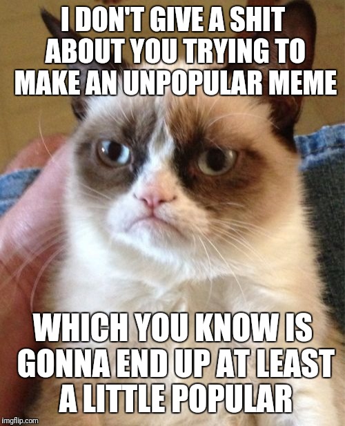 I DON'T GIVE A SHIT ABOUT YOU TRYING TO MAKE AN UNPOPULAR MEME WHICH YOU KNOW IS GONNA END UP AT LEAST A LITTLE POPULAR | image tagged in memes,grumpy cat | made w/ Imgflip meme maker