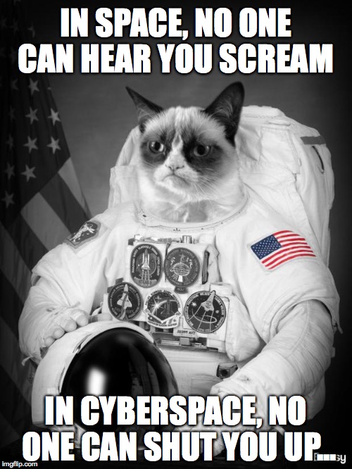 Space vs. cyberspace | IN SPACE, NO ONE CAN HEAR YOU SCREAM; IN CYBERSPACE, NO ONE CAN SHUT YOU UP... | image tagged in grumpy spacecat,space,cyberspace | made w/ Imgflip meme maker