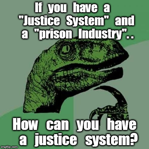 Philosoraptor | If   you   have   a    "Justice   System"   and   a   "prison   Industry". . How   can   you   have   a   justice   system? | image tagged in memes,philosoraptor | made w/ Imgflip meme maker