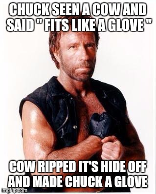 Chuck Norris Flex | CHUCK SEEN A COW AND SAID " FITS LIKE A GLOVE "; COW RIPPED IT'S HIDE OFF AND MADE CHUCK A GLOVE | image tagged in memes,chuck norris flex,chuck norris | made w/ Imgflip meme maker