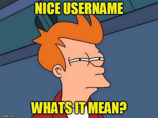 Futurama Fry Meme | NICE USERNAME WHATS IT MEAN? | image tagged in memes,futurama fry | made w/ Imgflip meme maker