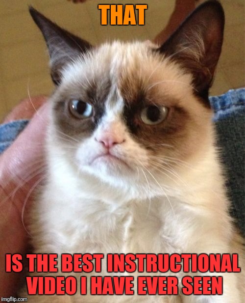 Grumpy Cat Meme | THAT IS THE BEST INSTRUCTIONAL VIDEO I HAVE EVER SEEN | image tagged in memes,grumpy cat | made w/ Imgflip meme maker