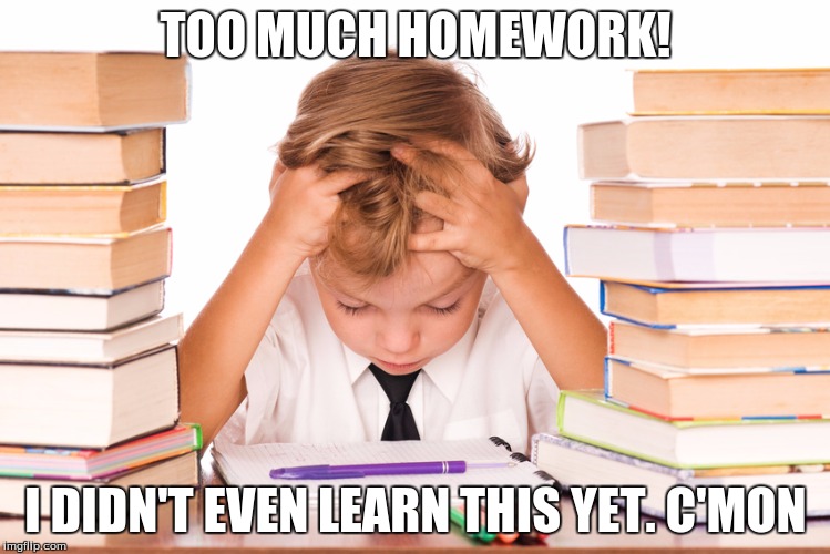 homework kid meme