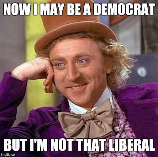 Creepy Condescending Wonka Meme | NOW I MAY BE A DEMOCRAT BUT I'M NOT THAT LIBERAL | image tagged in memes,creepy condescending wonka | made w/ Imgflip meme maker