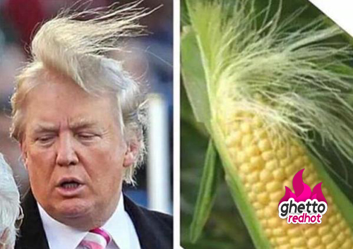 High Quality trump vs corn Blank Meme Template